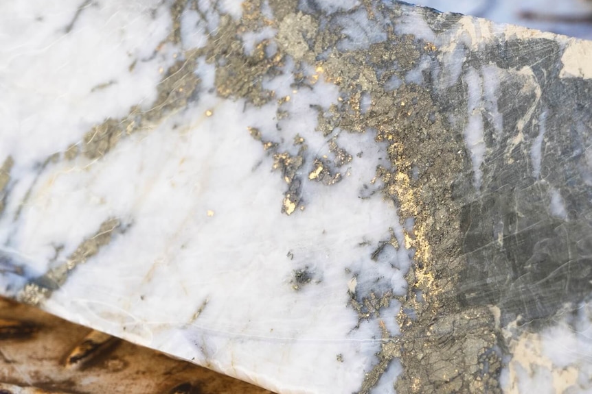A piece of white rock shows flecks of gold. 