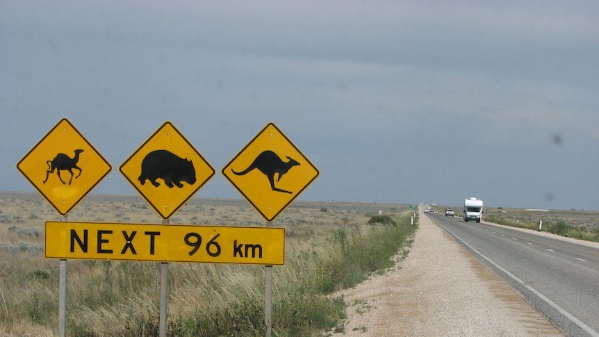 The Eyre Highway in South Australia.