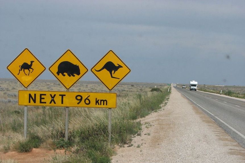 The Eyre Highway in South Australia.
