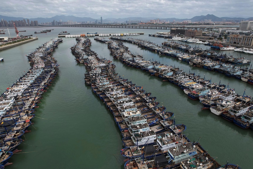 Rows of fishing boats are seen docked in preparation for Typhoon Doksuri.