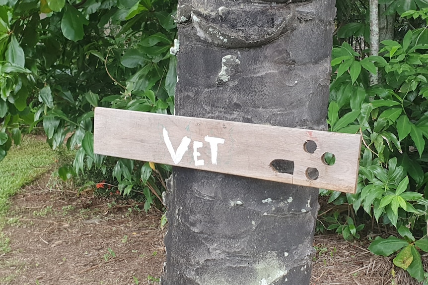 Vet sign on a tree