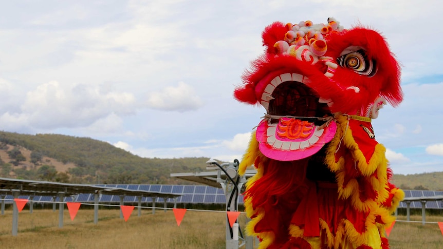 Mugga Lane solar park opened by Australian-Chinese company Maoneng