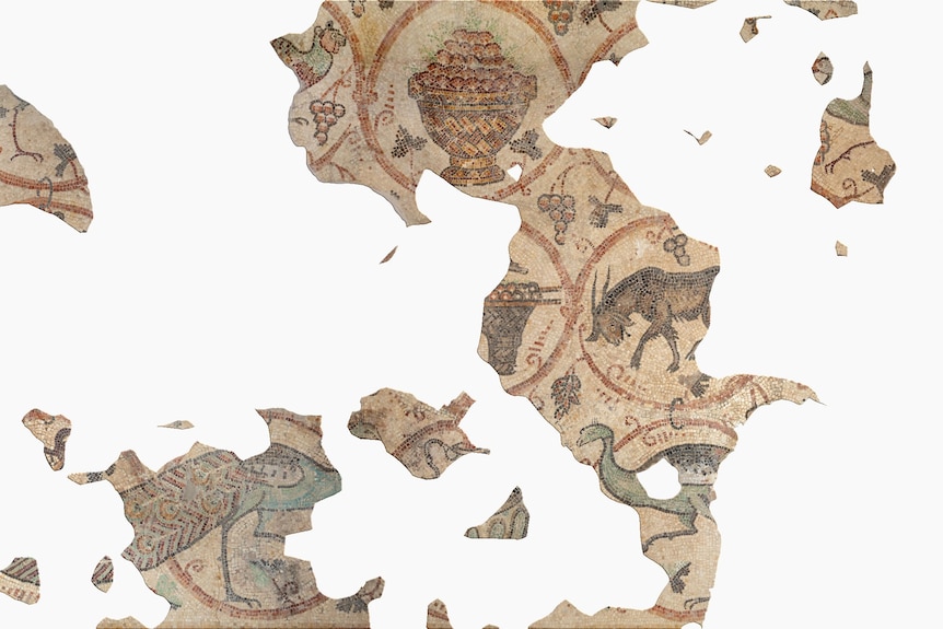 Shards of an ancient mosaic featuring an animal, birds and grapes