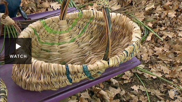 A handwoven basket made from dried rushes. Has Video.