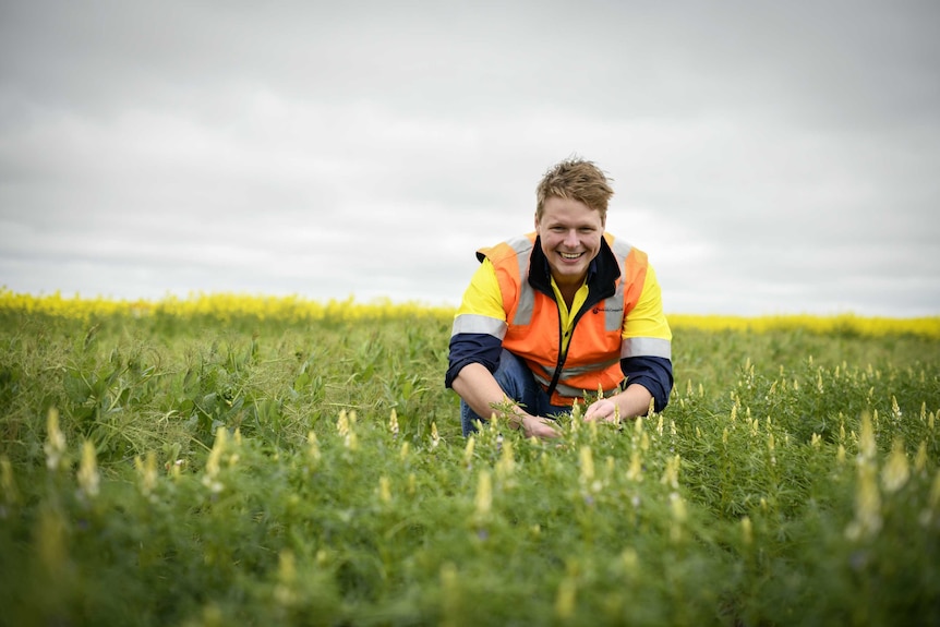 A young man crouches in a crop