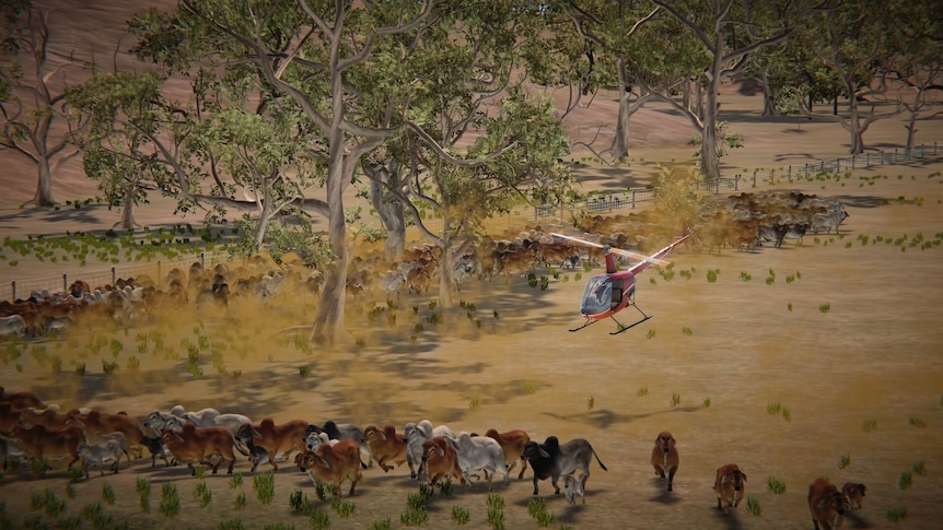 a screenshot from a video game about the cattle industry, showing a helicopter mustering a mob of cattle. 