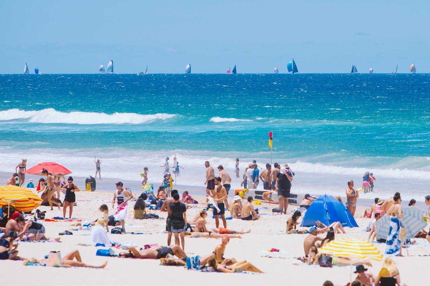 Hundreds of tourists and locals flock to Gold Coast beach