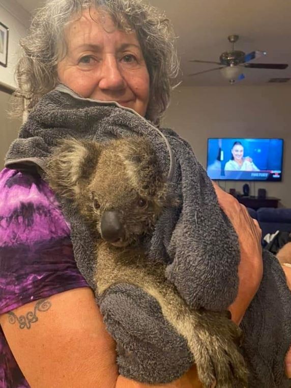A woman holding a koala in a blanket