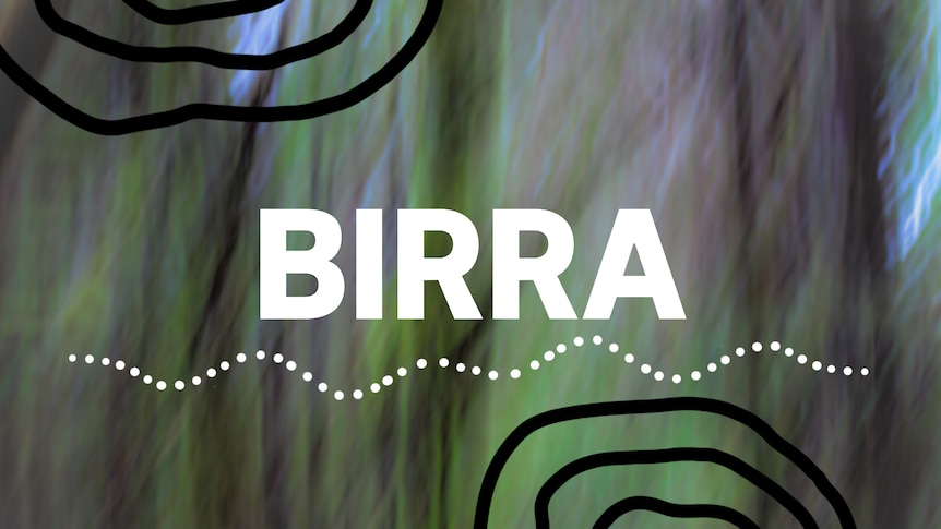 Green/Grey/Purple background with white block text that reads BIRRA