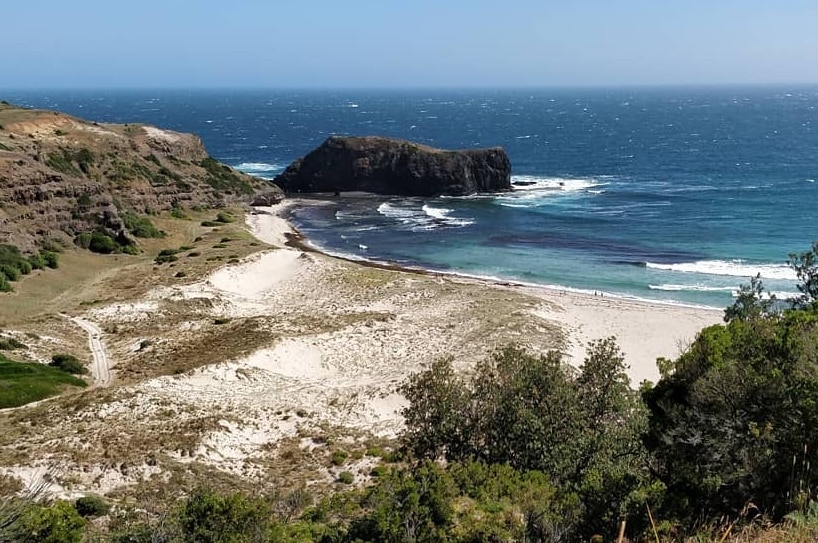A cliff, a beach, water and rocks are seen at Bushrangers Bay in Victoria