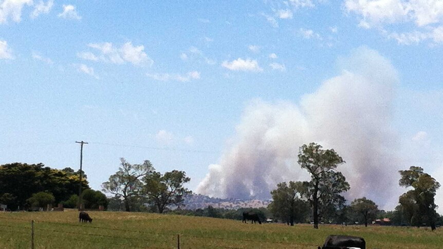 Smoke from a fire near Oura, north-east of Wagga Wagga in NSW Riverina January 7th 2013.