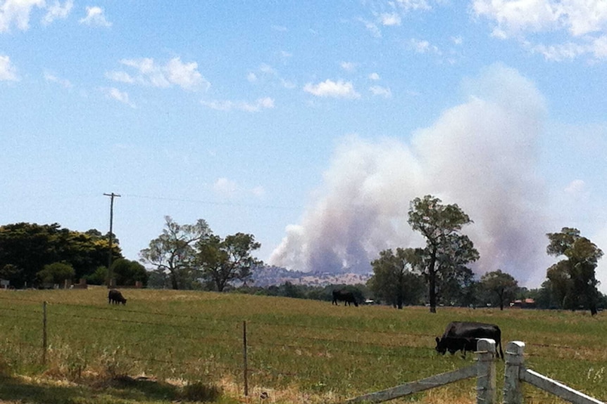 Smoke from a fire near Oura, north-east of Wagga Wagga in NSW Riverina January 7th 2013.