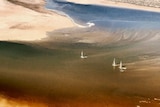 Little white boats follow the flood waters from Queensland to Lake Eyre