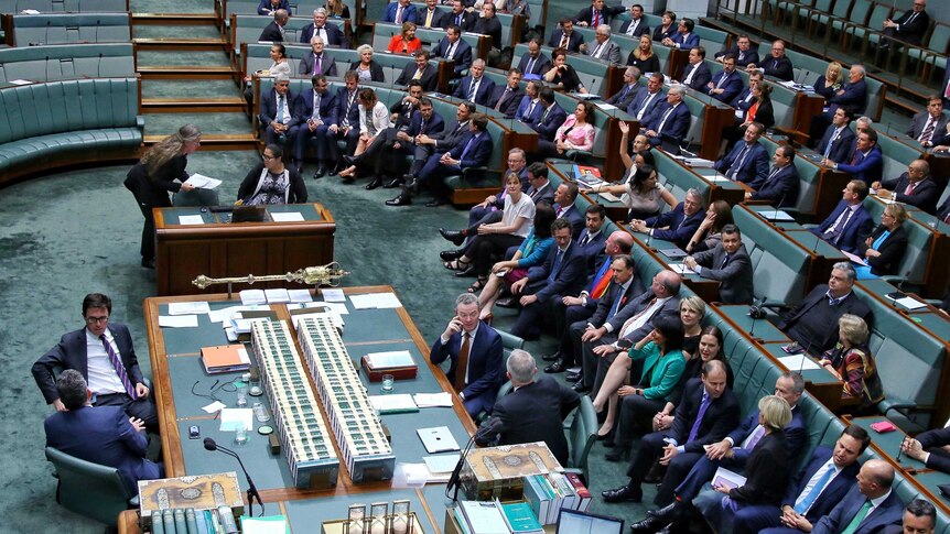 The House of Representatives showing the large majority of MPs voting in favour of the same-sex marriage bill.