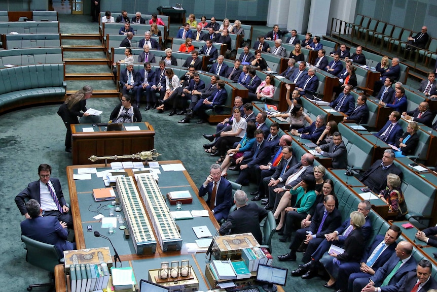 The House of Representatives showing the large majority of MPs voting in favour of the same-sex marriage bill.