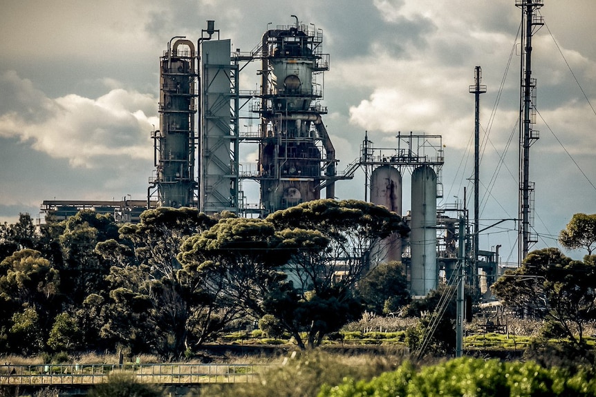 A refinery with trees in the foreground.