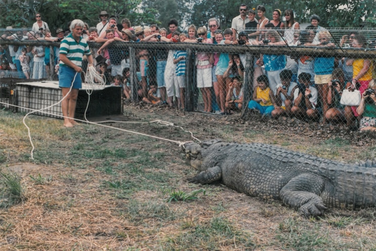 Old photo of John Lever with stripy shirt, blue shorts entertaining a crowd with a big crocodile and a rope.