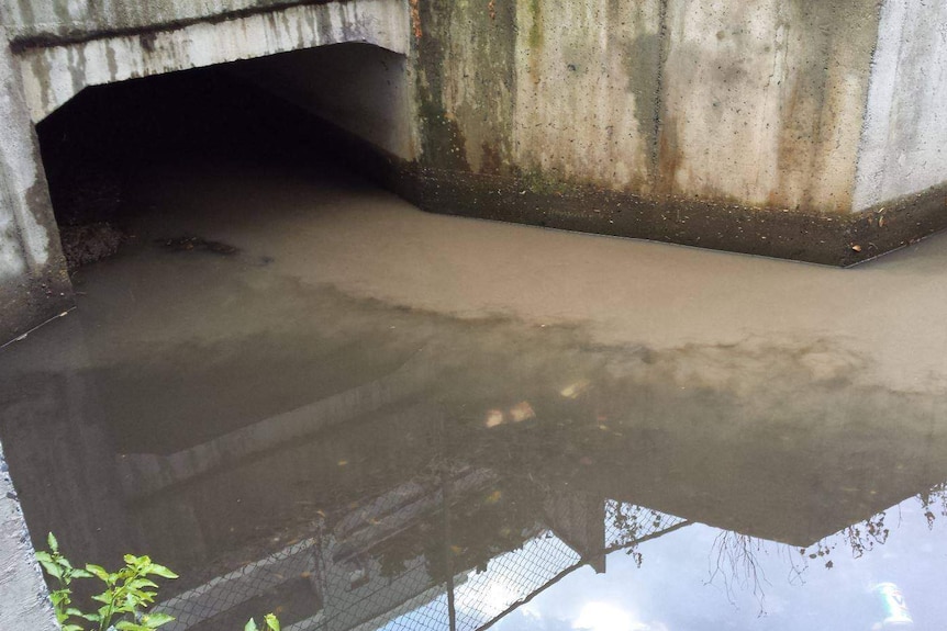 The point where a storm water drain runs into the ocean; photo shows dirty, brown, discoloured water.