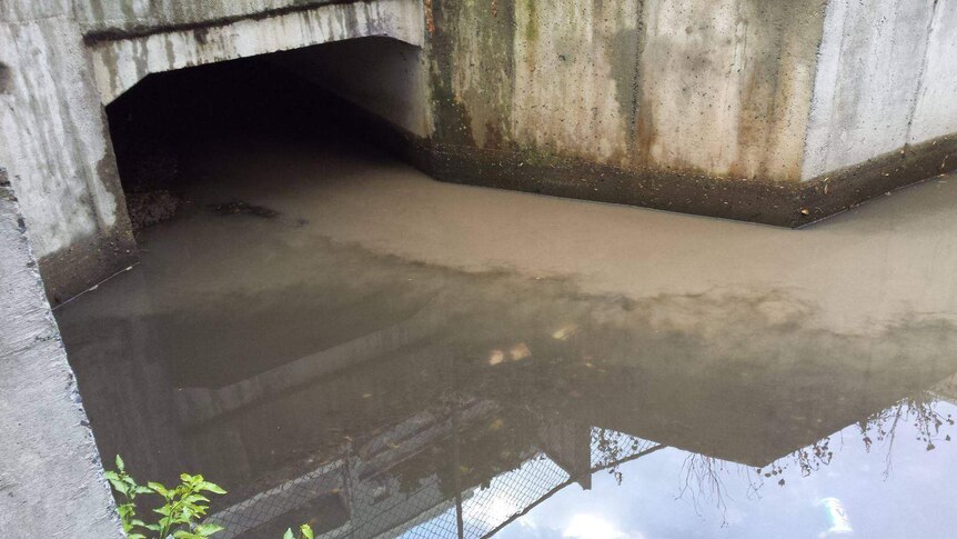 The point where a storm water drain runs into the ocean; photo shows dirty, brown, discoloured water