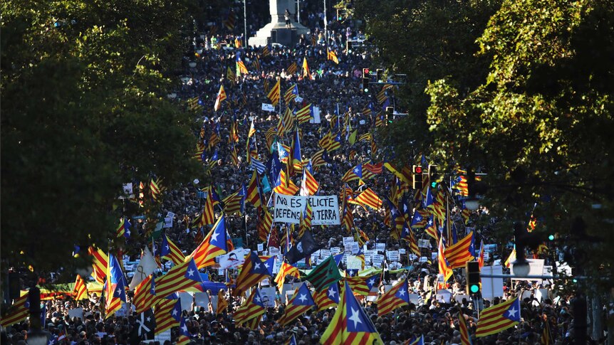 Thousands of people waving Catalan flags fill a long tree-lined street.