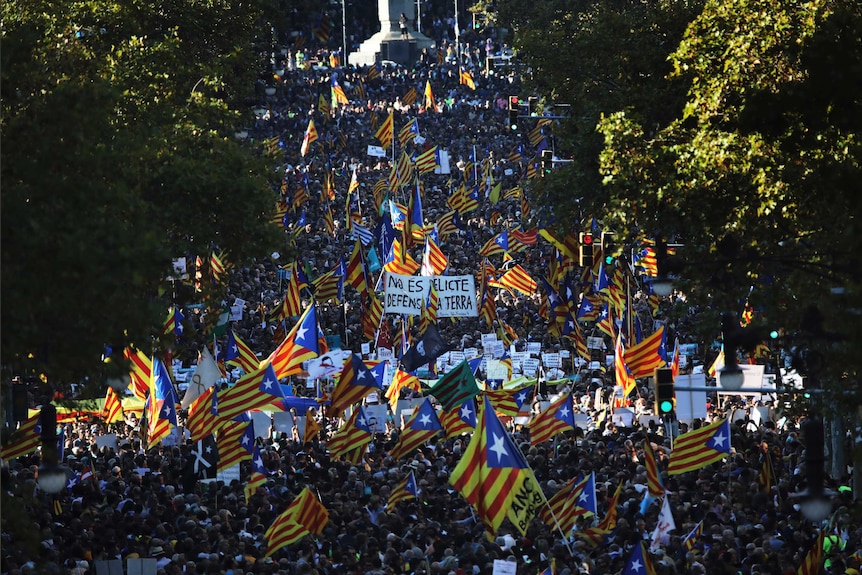 Thousands of people waving Catalan flags fill a long tree-lined street.