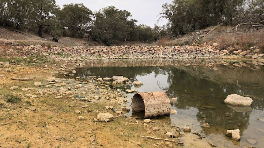 An almost dry Wilcannia Weir in its current state