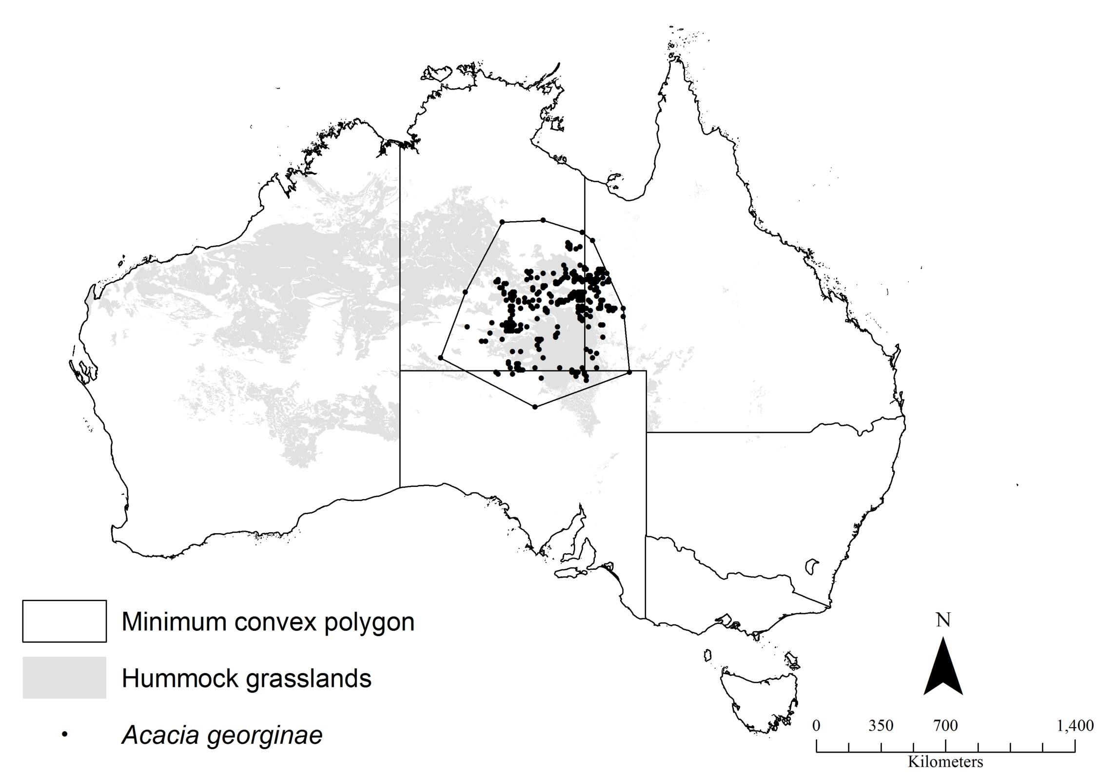 A map of Australia showing location of Georgina gidgee in centre.