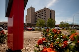 The Royal Darwin Hospital building seen from a distance,  on a sunny day, with a red flower bush in the foreground.
