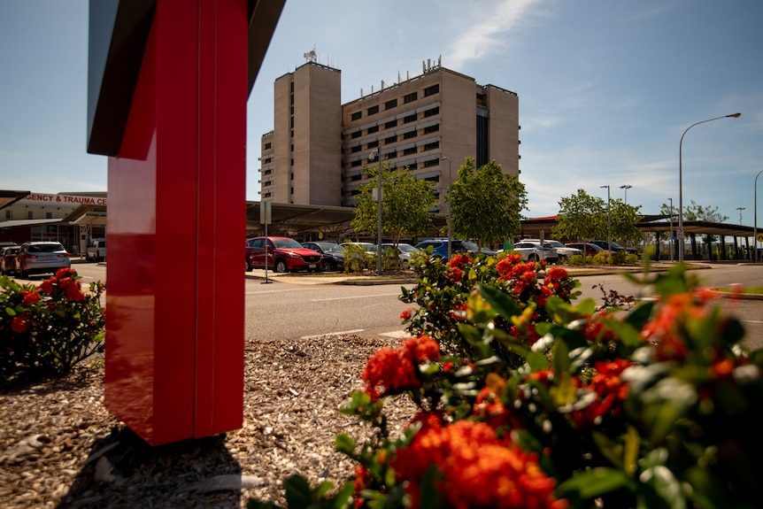 Le bâtiment de l'hôpital Royal Darwin vu de loin, par une journée ensoleillée, avec un buisson de fleurs rouges au premier plan.
