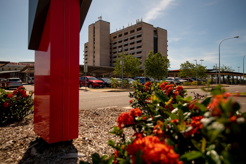 The Royal Darwin Hospital building seen from a distance,  on a sunny day, with a red flower bush in the foreground.