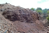 Cobalt in nickel deposit in shallow open cut  near Kalgoorlie, WA