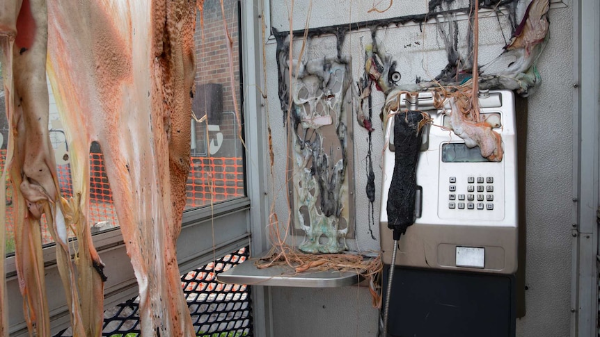 The interior of a phone booth, badly damaged by fire.