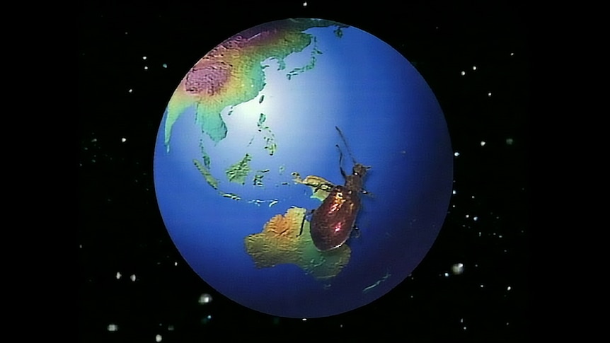 A graphic of the Earth with a bug on it