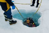 A diver enters a hole in sea ice in Antarctica