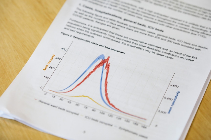A piece of paper with a colourful chart on it.