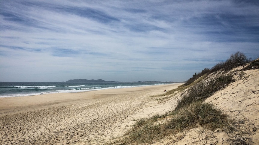 Latina Naturist Beach - Sex pests' spark calls for nude beach relocation at Byron Bay - ABC News