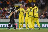 Australia's Pat Cummins (2R) celebrates the wicket of New Zealand's Kane Williamson at Manuka Oval.