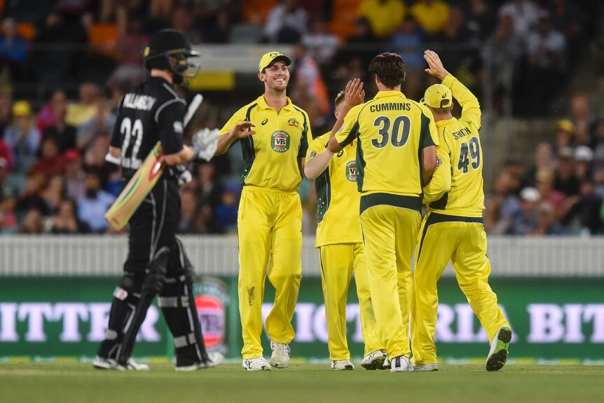 Pat Cummins celebrates a wicket for Australia against New Zealand in Canberra