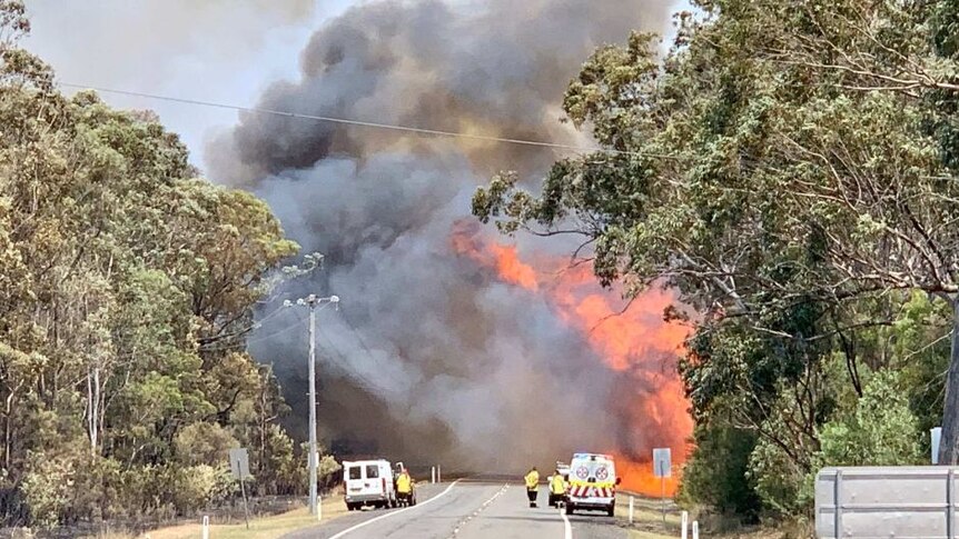 A bushfire burns next to a road lined with gum trees. A van and ambulance are in the foreground.