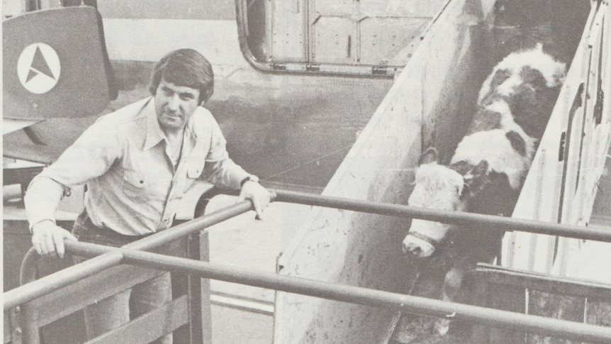 Harry M Miller with a shipment of cattle unloaded from an aeroplane.