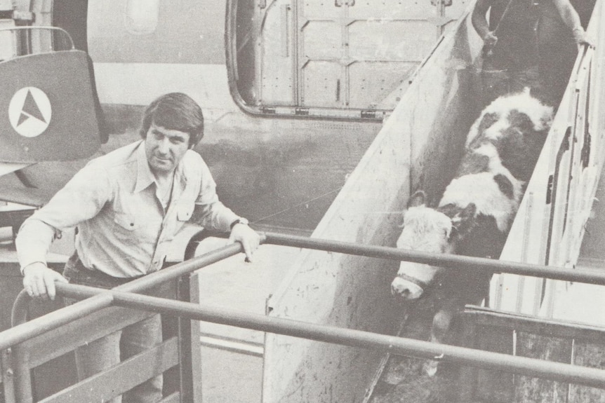 Harry M Miller with a shipment of cattle unloaded from an aeroplane.