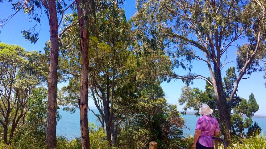 Visitors looks over Redland Bay.