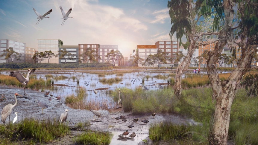 Computer generated image of mid-rise apartments with a lake, trees and flocks of different birds, under a blue sky.