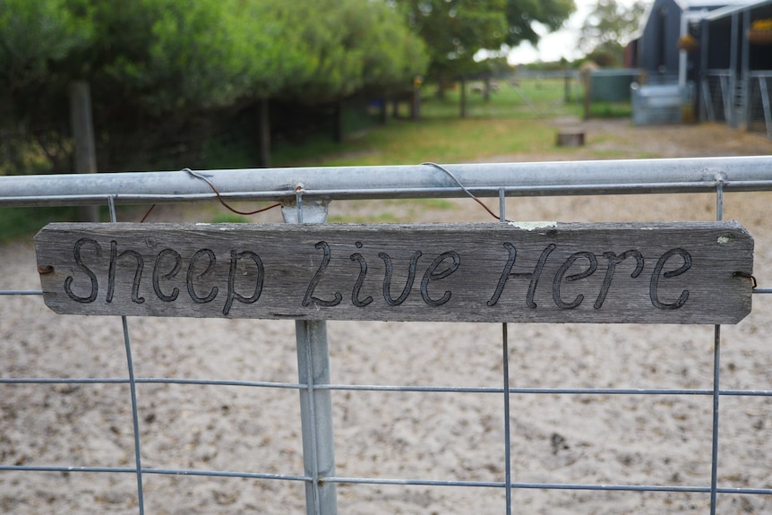 A sign on a gate that reads "Sheep Live Here".