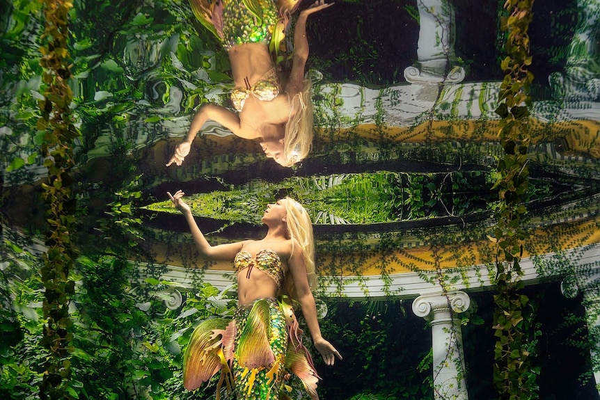 A woman in a mermaid costume floats just beneath the surface to create a mirror-image effect.