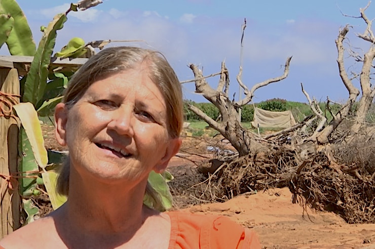 A woman standing on a fruit farm that has sustained damage from a natural disaster.