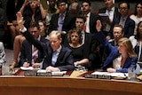 UN security council vote
