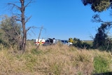A crashed plane and ambulance in a paddock.