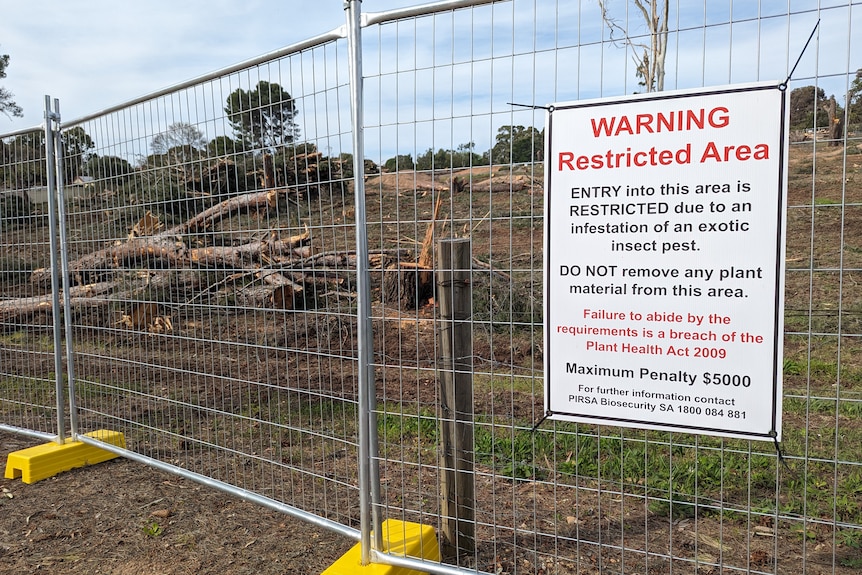 A park with trees cut down is surrounded by a fence with a warning sign