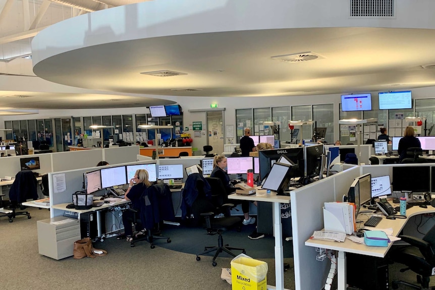 An open plan office space with people working on computers at ESTA in Ballarat